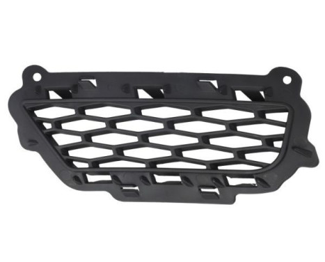 Ventilation grille, bumper