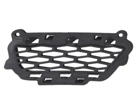 Ventilation grille, bumper, Image 2