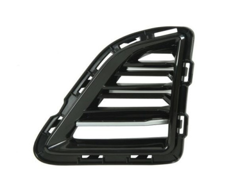 Ventilation grille, bumper