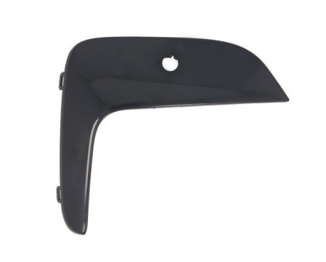 Ventilation grille, bumper