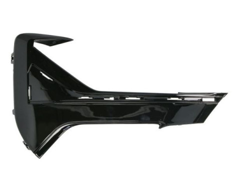 Ventilation grille, bumper