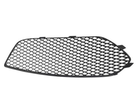Ventilation grille, bumper, Image 2