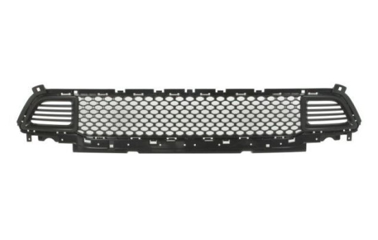 Ventilation grille, bumper