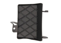 Bumper cover, tow bar