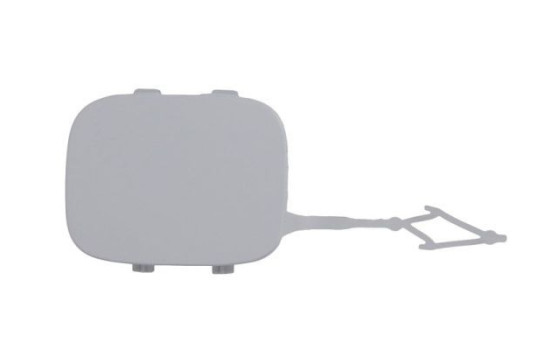 Bumper cover, tow bar