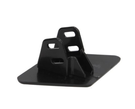 Plate, bumper, Image 2