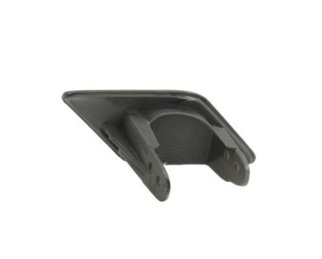 Plate, bumper, Image 2