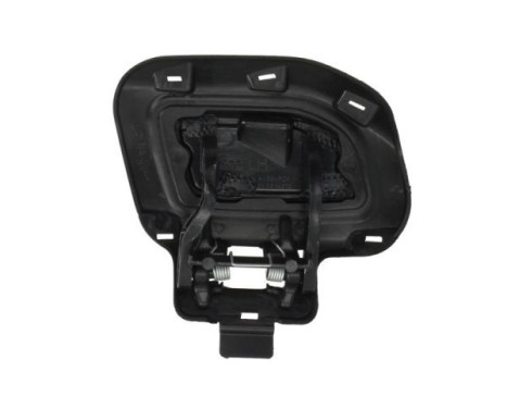 Plate, bumper, Image 2