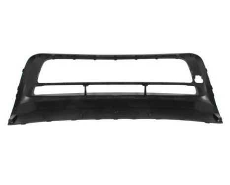 Plate, bumper, Image 2