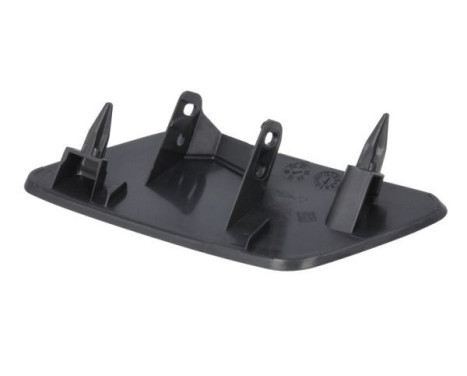 Plate, bumper, Image 2