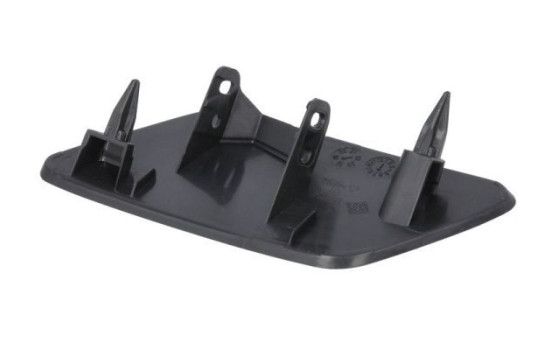 Plate, bumper, Image 2