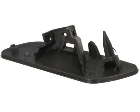 Plate, bumper, Image 2