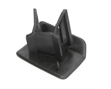 Plate, bumper, Image 2