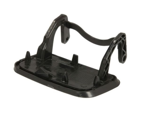 Plate, bumper, Image 2