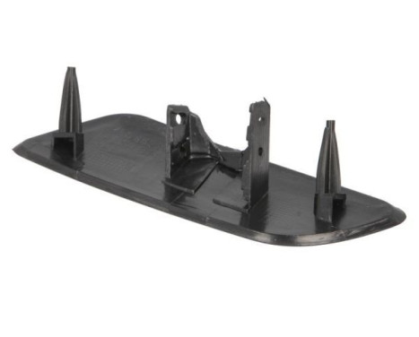 Plate, bumper, Image 2