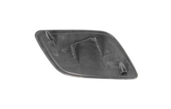Plate, bumper, Image 2