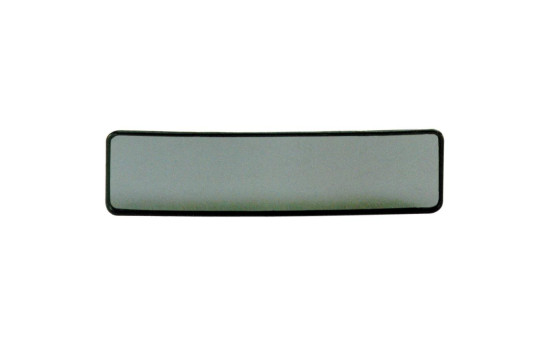 Panorama mirror