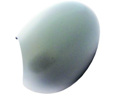 Cover, exterior mirror 1206327 Diederichs