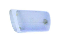 Cover, exterior mirror 1670029 Diederichs