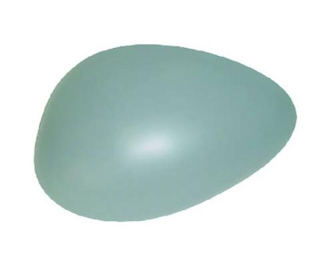 Cover, exterior mirror 3041128 Diederichs