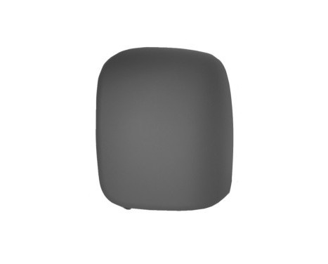 Cover, Wing Mirror 1612843 Hagus