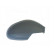 Cover, Wing Mirror 4917844 Hagus