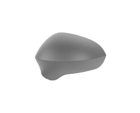 Cover, Wing Mirror 4919843 Hagus
