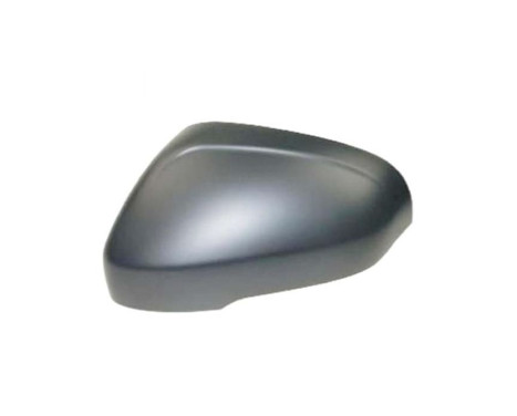 Cover, Wing Mirror * HAGUS * 5909843 Van Wezel