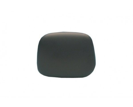 Cover, Wing Mirror