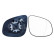 Mirror Glass, Wing Mirror 6472698 Alkar