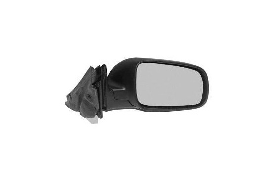 Electric right-hand exterior mirror 0314808 Hagus