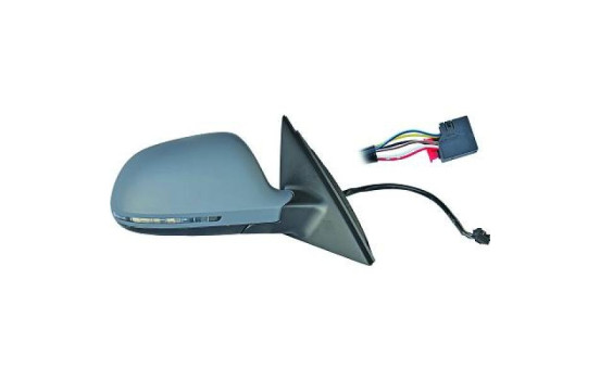 Exterior mirror 1018225 Diederichs
