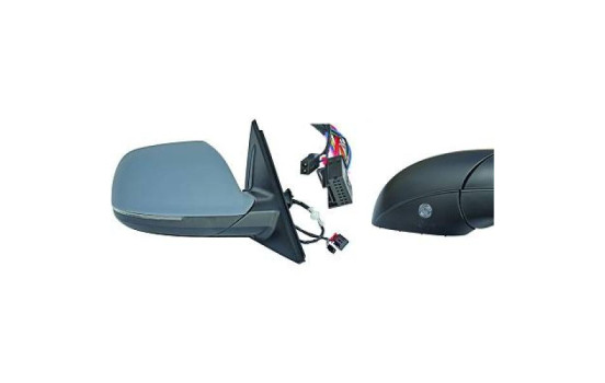 Exterior mirror 1075524 Diederichs
