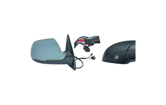 Exterior mirror 1096624 Diederichs