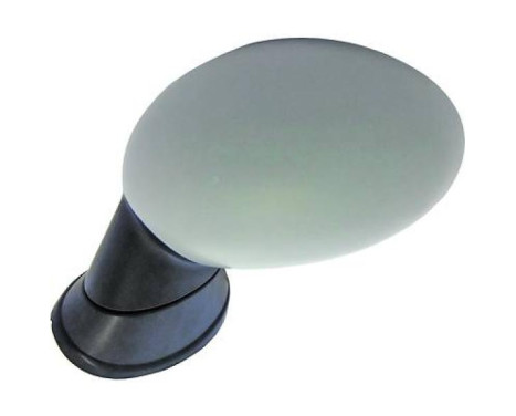 Exterior mirror 1206325 Diederichs
