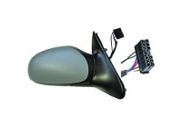 Exterior mirror 4242224 Diederichs