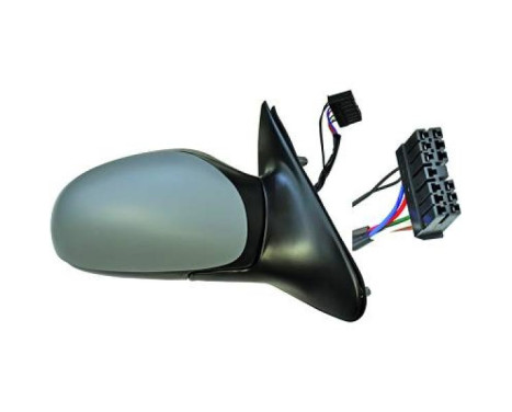 Exterior mirror 4242224 Diederichs