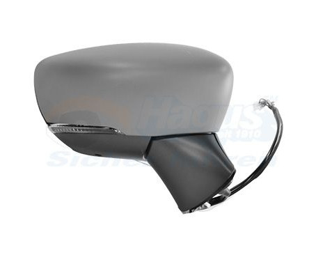 Exterior mirror * HAGUS * 3336828