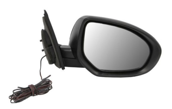 Exterior Mirror