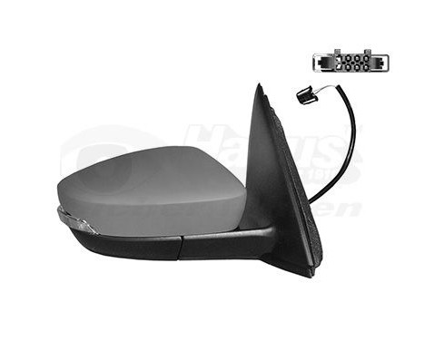 OUTSIDE Outside mirror R.FULLY 7629818 Hagus