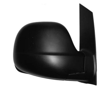 Wing Mirror 1666124 Diederichs