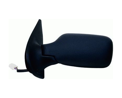 Wing Mirror 309-0010 TYC