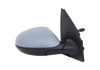 Wing Mirror 3213124 Diederichs