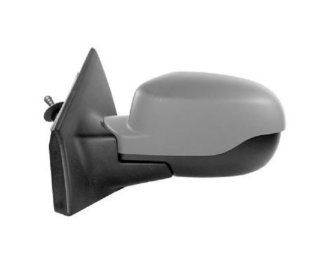 Wing Mirror 4333813 Hagus