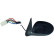 Wing Mirror 6075225 Diederichs