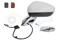 Wing Mirror * HAGUS * 1075807