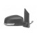 Wing Mirror * HAGUS * 1866807