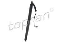 Electric Gas Spring, Tailgate 121 202 Topran