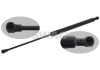 Gas pressure spring
