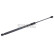Gas pressure spring, Thumbnail 2